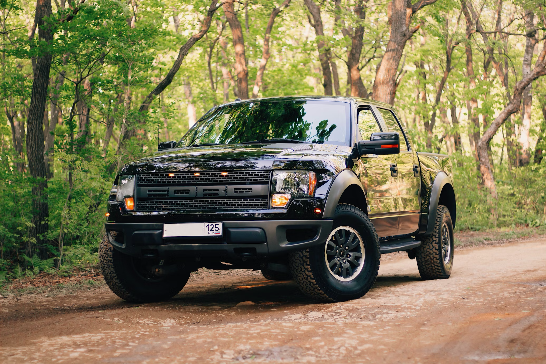 Black Ford F-150 SVT Raptor parked on a dirt road surrounded by trees